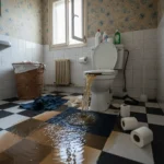 WC Bouch&eacute; qui d&eacute;borde &mdash; WC Bouch&eacute; qui d&eacute;borde 77 (Seine-et-Marne) &middot; image &agrave; la une
