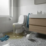 WC Bouch&eacute; qui d&eacute;borde &mdash; WC Bouch&eacute; qui d&eacute;borde 78 (Yvelines) &middot; image &agrave; la une