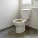 WC Bouch&eacute; qui d&eacute;borde &mdash; WC Bouch&eacute; qui d&eacute;borde &agrave; Cr&eacute;gy-l&egrave;s-Meaux (77124) &middot; image &agrave; la une
