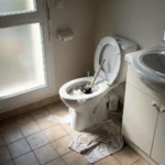 WC Bouch&eacute; qui d&eacute;borde &mdash; WC Bouch&eacute; qui d&eacute;borde &agrave; Nandy (77176) &middot; image &agrave; la une