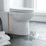 WC Bouch&eacute; qui d&eacute;borde &mdash; WC Bouch&eacute; qui d&eacute;borde &agrave; Dammarie-les-Lys (77190) &middot; image &agrave; la une