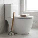 WC Bouch&eacute; qui d&eacute;borde &mdash; WC Bouch&eacute; qui d&eacute;borde &agrave; Cesson (77240) &middot; image &agrave; la une
