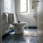 WC Bouch&eacute; qui d&eacute;borde &mdash; WC Bouch&eacute; qui d&eacute;borde &agrave; Fontainebleau (77300) &middot; image &agrave; la une