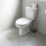 WC Bouch&eacute; qui d&eacute;borde &mdash; WC Bouch&eacute; qui d&eacute;borde &agrave; Saint-Fargeau-Ponthierry (77310) &middot; image &agrave; la une