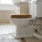 WC Bouch&eacute; qui d&eacute;borde &mdash; WC Bouch&eacute; qui d&eacute;borde &agrave; Claye-Souilly (77410) &middot; image &agrave; la une