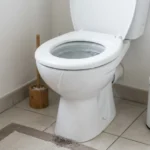 WC Bouch&eacute; qui d&eacute;borde &mdash; WC Bouch&eacute; qui d&eacute;borde &agrave; Esbly (77450) &middot; image &agrave; la une
