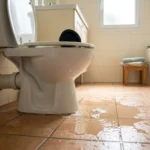 WC Bouch&eacute; qui d&eacute;borde &mdash; WC Bouch&eacute; qui d&eacute;borde &agrave; Villiers-sur-Morin (77580) &middot; image &agrave; la une
