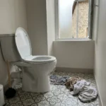 WC Bouch&eacute; qui d&eacute;borde &mdash; WC Bouch&eacute; qui d&eacute;borde &agrave; Chartrettes (77590) &middot; image &agrave; la une
