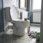 WC Bouch&eacute; qui d&eacute;borde &mdash; WC Bouch&eacute; qui d&eacute;borde &agrave; Chanteloup-en-Brie (77600) &middot; image &agrave; la une