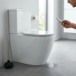 WC Bouch&eacute; qui d&eacute;borde &mdash; WC Bouch&eacute; qui d&eacute;borde &agrave; Serris (77700) &middot; image &agrave; la une