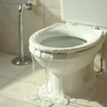 WC Bouch&eacute; qui d&eacute;borde &mdash; WC Bouch&eacute; qui d&eacute;borde &agrave; Couilly-Pont-aux-Dames (77860) &middot; image &agrave; la une