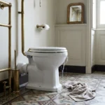 WC Bouch&eacute; qui d&eacute;borde &mdash; WC Bouch&eacute; qui d&eacute;borde &agrave; Versailles (78000) &middot; image &agrave; la une