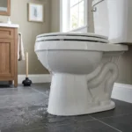 WC Bouch&eacute; qui d&eacute;borde &mdash; WC Bouch&eacute; qui d&eacute;borde &agrave; Rambouillet (78120) &middot; image &agrave; la une