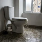 WC Bouch&eacute; qui d&eacute;borde &mdash; WC Bouch&eacute; qui d&eacute;borde &agrave; Saint-Cyr-l'&Eacute;cole (78210) &middot; image &agrave; la une