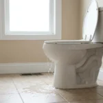 WC Bouch&eacute; qui d&eacute;borde &mdash; WC Bouch&eacute; qui d&eacute;borde &agrave; Chambourcy (78240) &middot; image &agrave; la une