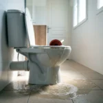 WC Bouch&eacute; qui d&eacute;borde &mdash; WC Bouch&eacute; qui d&eacute;borde &agrave; Limetz-Villez (78270) &middot; image &agrave; la une