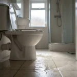 WC Bouch&eacute; qui d&eacute;borde &mdash; WC Bouch&eacute; qui d&eacute;borde &agrave; Coigni&egrave;res (78310) &middot; image &agrave; la une