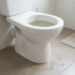 WC Bouch&eacute; qui d&eacute;borde &mdash; WC Bouch&eacute; qui d&eacute;borde &agrave; Orgerus (78910) &middot; image &agrave; la une