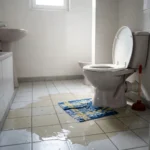 WC Bouch&eacute; qui d&eacute;borde &mdash; WC Bouch&eacute; qui d&eacute;borde &agrave; Varennes-Jarcy (91480) &middot; image &agrave; la une