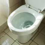 WC Bouch&eacute; qui d&eacute;borde &mdash; WC Bouch&eacute; qui d&eacute;borde &agrave; Fert&eacute;-Alais (91590) &middot; image &agrave; la une
