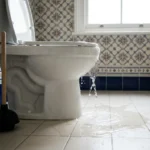 WC Bouch&eacute; qui d&eacute;borde &mdash; WC Bouch&eacute; qui d&eacute;borde &agrave; Vert-le-Petit (91710) &middot; image &agrave; la une