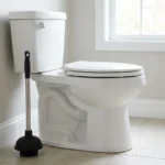 D&eacute;bouchage WC &mdash; D&eacute;bouchage WC &agrave; Boissy-sous-Saint-Yon (91790) &middot; image &agrave; la une