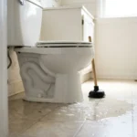 WC Bouch&eacute; qui d&eacute;borde &mdash; WC Bouch&eacute; qui d&eacute;borde &agrave; Sevran (93270) &middot; image &agrave; la une