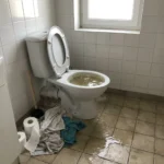 WC Bouch&eacute; qui d&eacute;borde &mdash; WC Bouch&eacute; qui d&eacute;borde &agrave; &Icirc;le-Saint-Denis (93450) &middot; image &agrave; la une