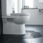 WC Bouch&eacute; qui d&eacute;borde &mdash; WC Bouch&eacute; qui d&eacute;borde &agrave; Orly (94310) &middot; image &agrave; la une