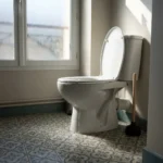 WC Bouch&eacute; qui d&eacute;borde &mdash; WC Bouch&eacute; qui d&eacute;borde &agrave; Thiais (94320) &middot; image &agrave; la une