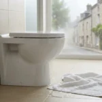 WC Bouch&eacute; qui d&eacute;borde &mdash; WC Bouch&eacute; qui d&eacute;borde &agrave; Mandres-les-Roses (94520) &middot; image &agrave; la une