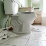 WC Bouch&eacute; qui d&eacute;borde &mdash; WC Bouch&eacute; qui d&eacute;borde &agrave; Chevilly-Larue (94550) &middot; image &agrave; la une