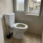 WC Bouch&eacute; qui d&eacute;borde &mdash; WC Bouch&eacute; qui d&eacute;borde &agrave; Neuville-sur-Oise (95000) &middot; image &agrave; la une