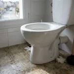 WC Bouch&eacute; qui d&eacute;borde &mdash; WC Bouch&eacute; qui d&eacute;borde &agrave; Parmain (95620) &middot; image &agrave; la une