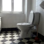WC Bouch&eacute; qui d&eacute;borde &mdash; WC Bouch&eacute; qui d&eacute;borde &agrave; Montlignon (95680) &middot; image &agrave; la une