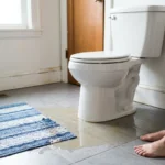 WC Bouch&eacute; qui d&eacute;borde &mdash; WC Bouch&eacute; qui d&eacute;borde &agrave; Chars (95750) &middot; image &agrave; la une