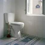 WC Bouch&eacute; qui d&eacute;borde &mdash; WC Bouch&eacute; qui d&eacute;borde &agrave; Enghien-les-Bains (95880) &middot; image &agrave; la une